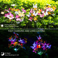 Verthara Butterfly Solar Garden Light