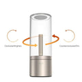 Verthara Glass Tube Design Rechargeable Table Lamp