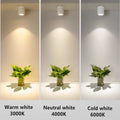 Verthara LED Ceiling Spotlights Macaron