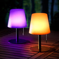 Verthara Minimalist Modern Rechargeable Table Lamp