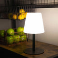 Verthara Minimalist Modern Rechargeable Table Lamp