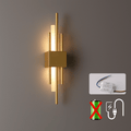 Verthara Modern LED Wall Light With USB Charging - Dimmable - Adjustable Warm Light - Acrylic Shade - Indoor Use - Gold Finish Plug in Style