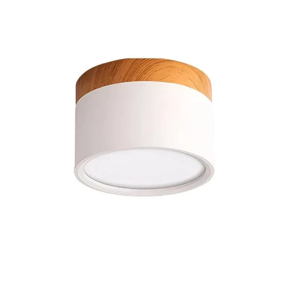 Verthara Modern Surface Mounted LED Downlight White / Cold white 6000K / 15W