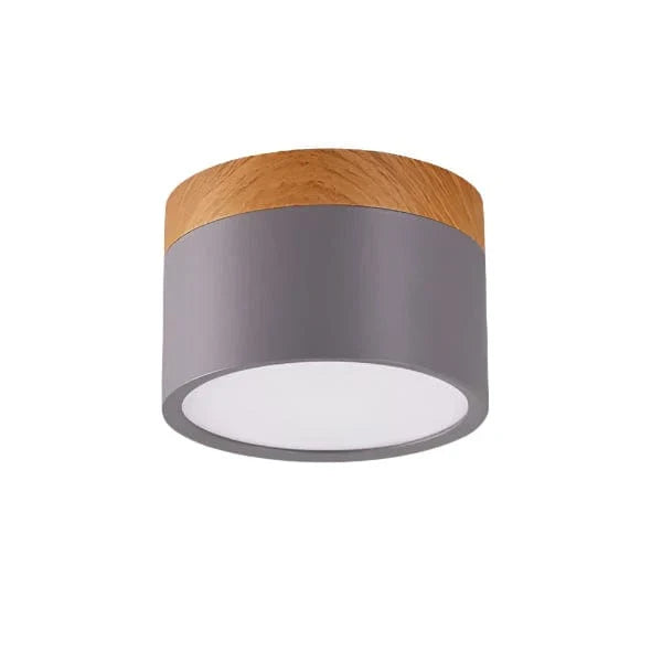 Verthara Modern Surface Mounted LED Downlight Gray / Warm white 3000K / 18W