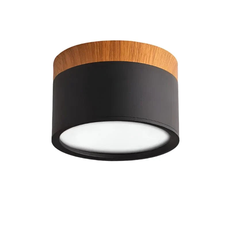 Verthara Modern Surface Mounted LED Downlight Black / Cold white 6000K / 18W
