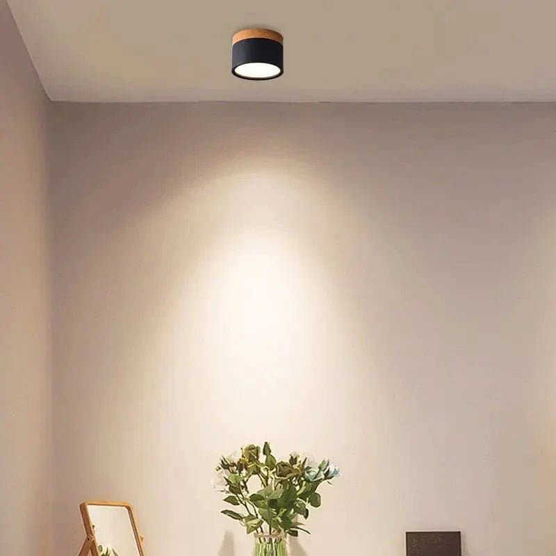 Verthara Modern Surface Mounted LED Downlight