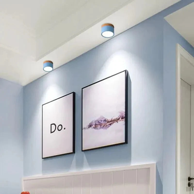 Verthara Modern Surface Mounted LED Downlight