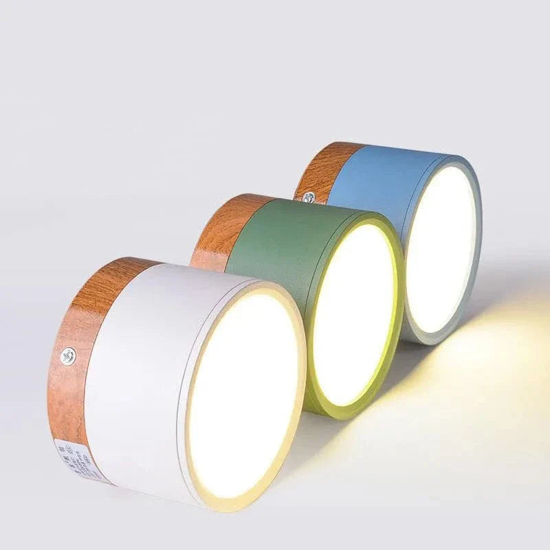Verthara Modern Surface Mounted LED Downlight
