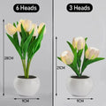 Verthara Night Light  LED Glow Rechargeable Table Lamps