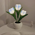 Verthara Night Light  LED Glow Rechargeable Table Lamps 3 Blue / Battery
