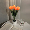 Verthara Night Light  LED Glow Rechargeable Table Lamps 6 Orange / Battery