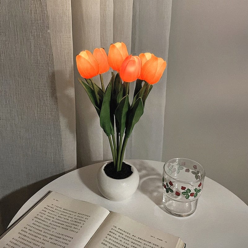 Verthara Night Light  LED Glow Rechargeable Table Lamps 6 Orange / Battery