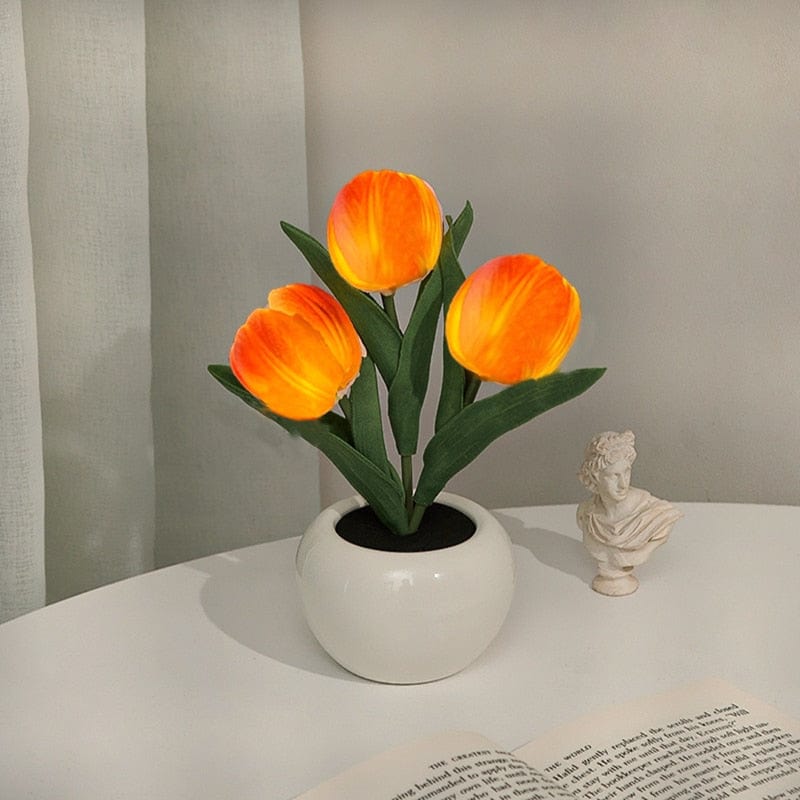 Verthara Night Light  LED Glow Rechargeable Table Lamps 3 Orange / Battery