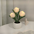 Verthara Night Light  LED Glow Rechargeable Table Lamps 3 White / Battery