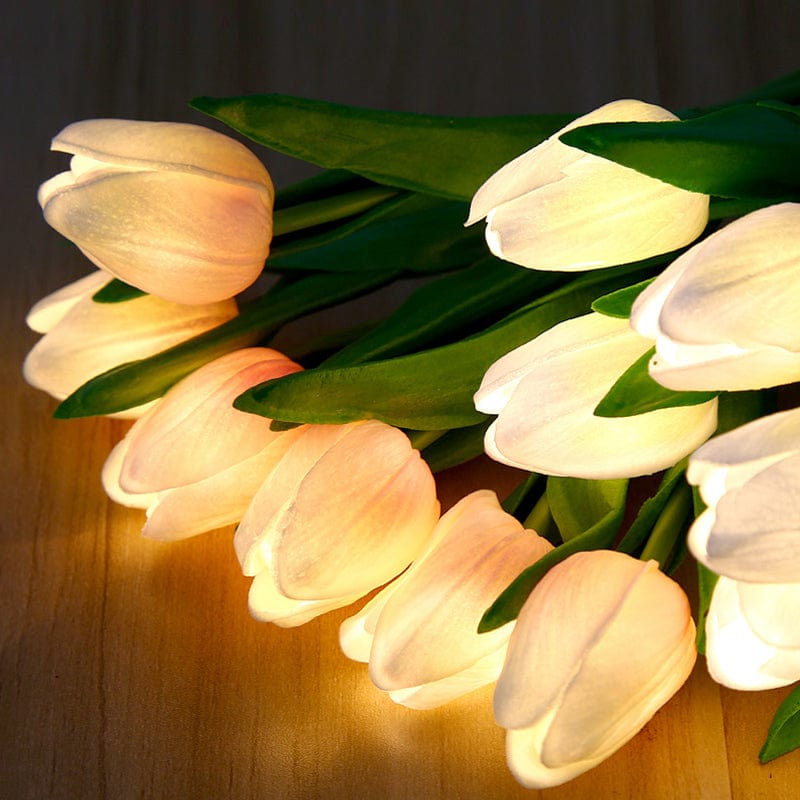 Verthara Night Light  LED Glow Rechargeable Table Lamps