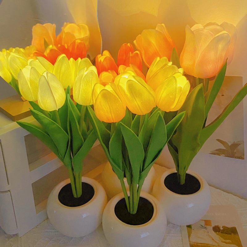Verthara Night Light  LED Glow Rechargeable Table Lamps