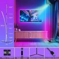 Verthara RGB Corner Standing Floor Lamp