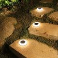 Verthara Solar Lawn Light Outdoor
